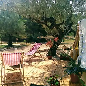 https://romantic-safari-tent.catalonia-hotels.com